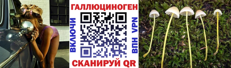 Галлюциногенные грибы Psilocybe  Протвино 
